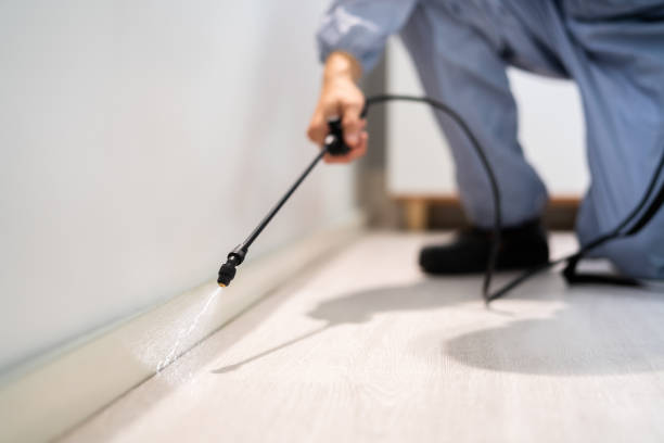 Licensed Pest Control service in Rural Retreat, VA - Show Me Pest Control